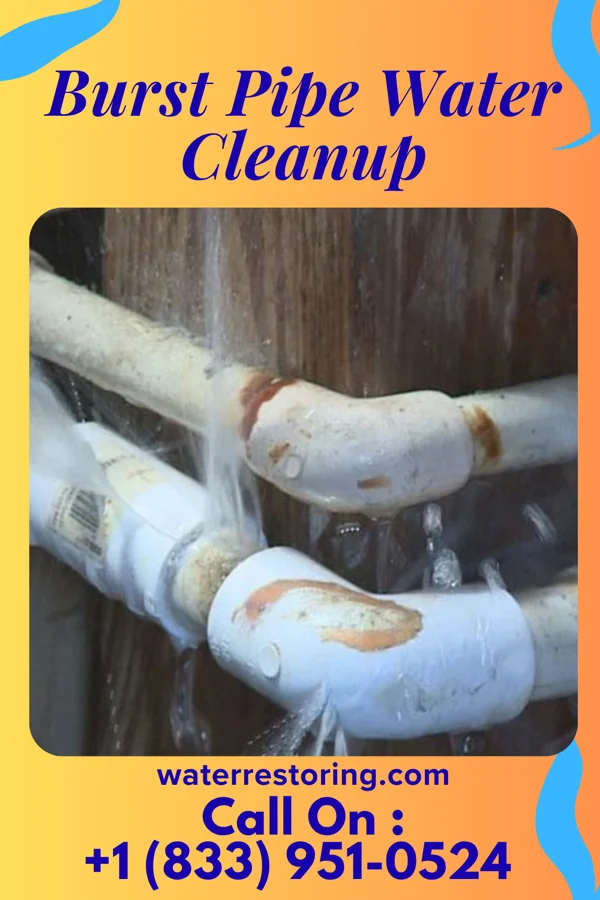 Burst Pipe Water Cleanup in Roscoe, NE