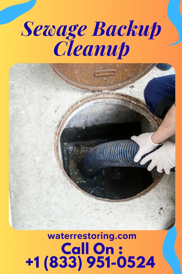 Sewage Backup Cleanup in Roscoe, NE
